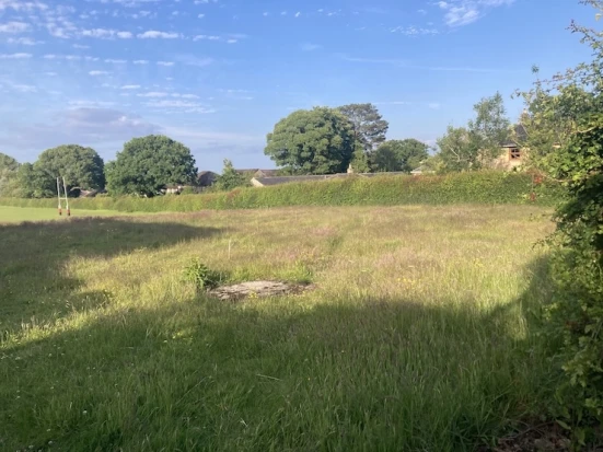 Rossett High school rewilding space