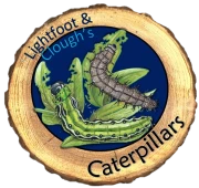 Caterpillars
