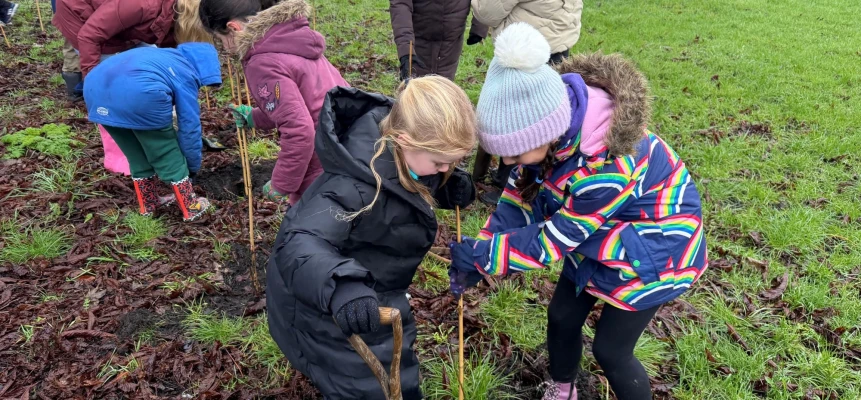 A group of children pushing canes into the ground as part of a tree planting activity.