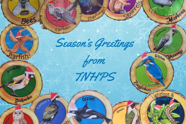 Seasons Greasons (1)