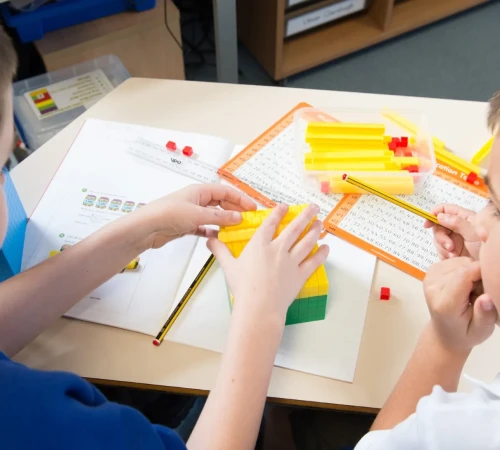 TNH Primary_copyright (2) (Large)