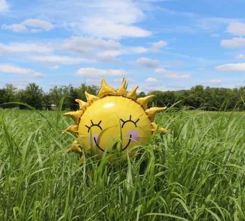 laura-pratt--NqtqonICOM-unsplash