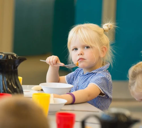 TNHPS_Copyright 2022 (1)