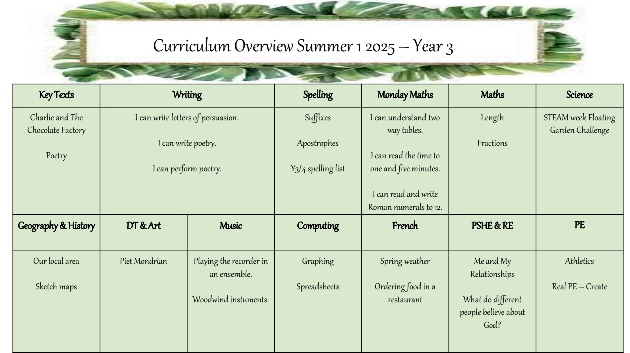 Summer Curriculum Overview Y3