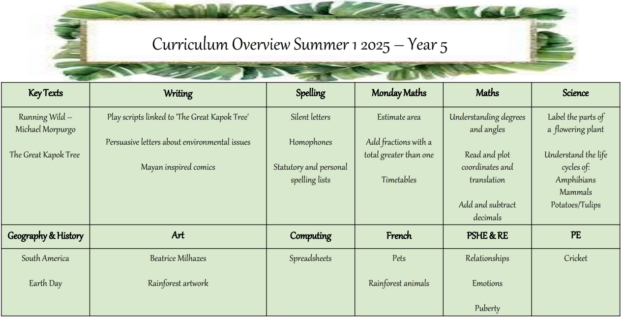 Curriculum Overview Y5