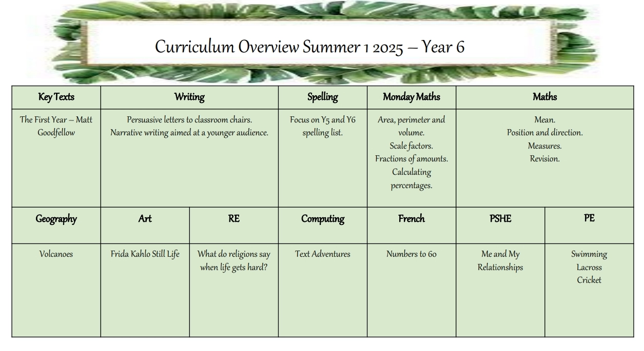 Curriculum Overview Y6