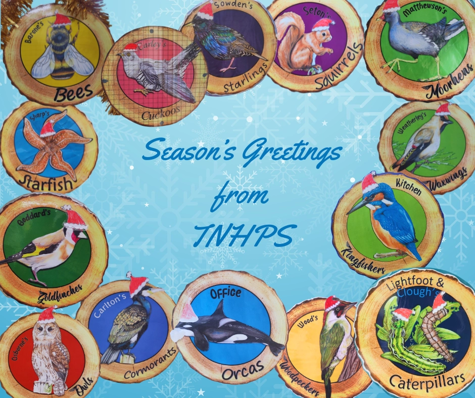 Seasons Greasons (1)